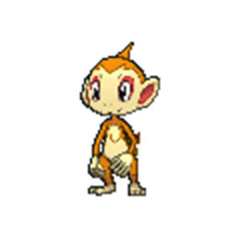serebii chimchar|Serebii.net Pokédex .